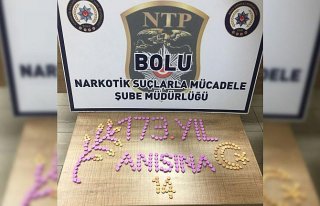 Bolu'da uyuşturucu operasyonu