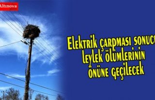 Elektrik çarpması sonucu leylek ölümlerinin önüne...