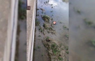 Kanala düşen köpek yavrusunu itfaiye kurtardı