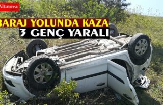Pikniğe Giden Gençler Kaza Yaptı