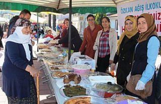 Taşova'da Mehmetçik Vakfı yararına kermes