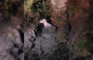 Yamaçtan yuvarlanan atı itfaiye kurtardı