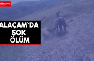 Alaçam`da şok ölüm