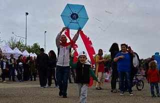 Altınordu'da uçurtma şenliği düzenlenecek