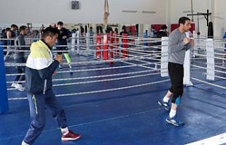 Boks Milli Takımı'nın Kastamonu kampı sürüyor