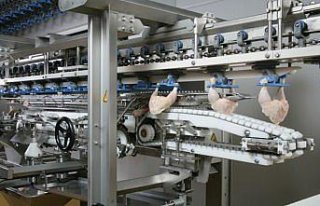 Japonlar Türk tavuğunu sevdi