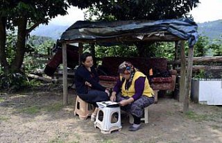 Metropolden beldeye okuryazarlık dönüşü