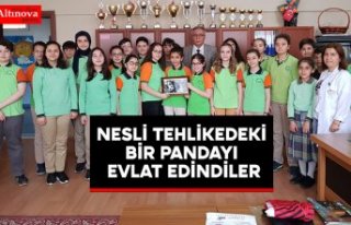 NESLİ TEHLİKEDEKİ BİR PANDAYI EVLAT EDİNDİLER