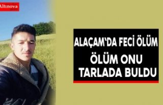 Ölüm Onu Tarlada Buldu