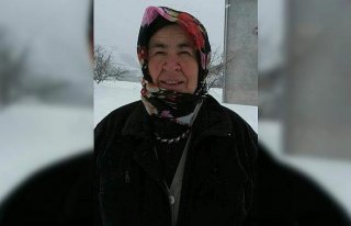 Ordu'da kaybolan kadın için çalışma başlatıldı