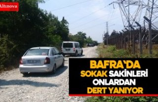 Sokak sakinleri onlardan dert yanıyor