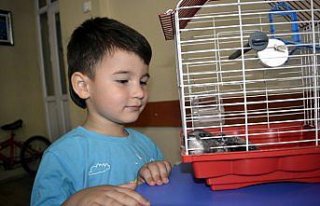 3 yaşındaki çocuğun bulduğu yaralı kuş tedaviye...