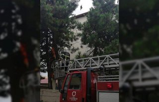 Ayağı ipe dolanan kuşu itfaiye kurtardı