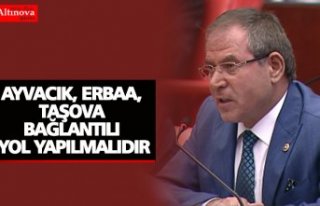 AYVACIK, ERBAA, TAŞOVA BAĞLANTILI YOL YAPILMALIDIR