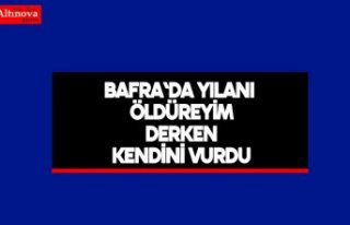 Bafra'da Yılanı Öldüreyim Derken Kendini...