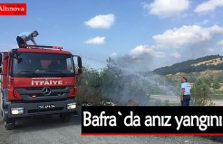 Bafra`da anız yangını