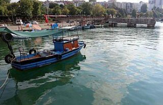 Batı Karadenizli balıkçılar yeni sezondan umutlu