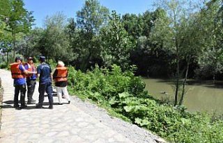 Irmağa giren yunus kurtarıldı