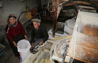 Tarihi değirmenin emektar çifti