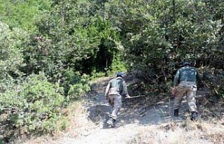 Tokat'ta kaybolan küçük kız 10'uncu günde de...