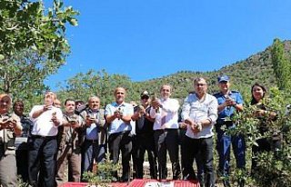 Tosya'da keklik salımı yapıldı