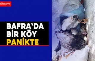 Bafra`da bir köy panikte