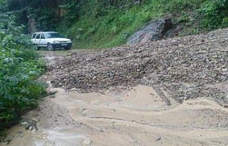 Giresun'da şiddetli yağış
