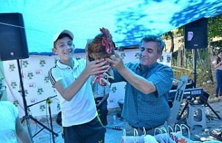 İstanbul'dan köyüne dönüp tavuk çiftliği kurdu