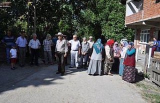 Köye inen kurtlar büyükbaş hayvanları telef etti