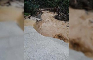 Rize'deki şiddetli yağış