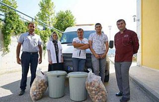 Sokak hayvanları için yemek masalarından 