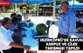 Vezirköprü'de kavun, karpuz ve çilek yarışması...