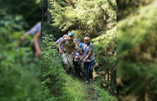 Artvin'de uçuruma yuvarlanan kişiyi jandarma ekipleri...