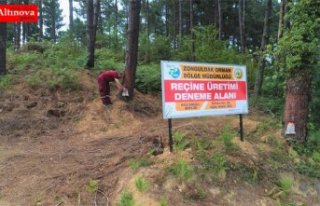 “Asit pasta“ yöntemi ile reçine üretiminde...