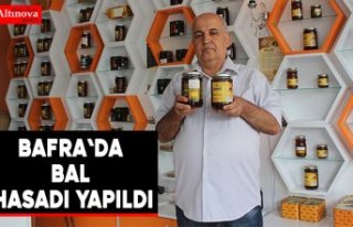 Bafra'da Bal Hasadı Yapıldı