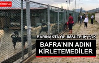 BAFRA'NIN ADINI KİRLETEMEDİLER