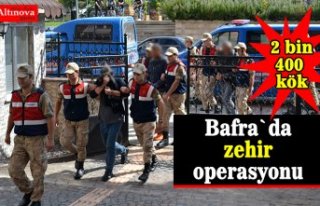 Bafra`da zehir operasyonu