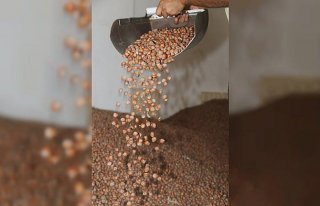 Fındık 1,78 milyar dolar kazandırdı