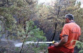 GÜNCELLEME - Bolu'da orman yangını