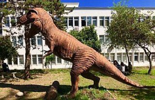 KTÜ'de Doğa Müzesi oluşturulacak