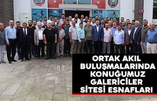 ORTAK AKIL BULUŞMALARINDA KONUĞUMUZ GALERİCİLER...