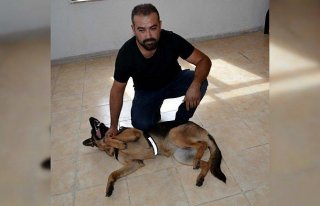 Yaralı haldeki köpeğin 112'ye sığınması