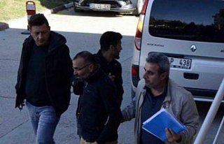 Amasya'da ceviz hırsızlığı