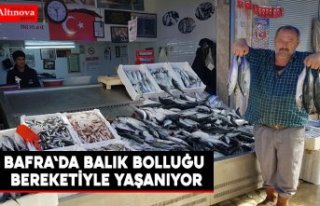 BAFRA'DA BALIK BOLLUĞU BEREKETİYLE YAŞANIYOR