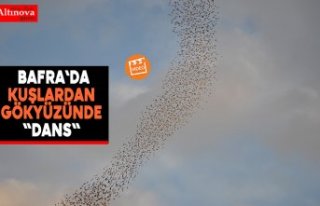 Bafra`da Kuşlardan Gökyüzünde "Dans"