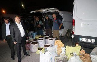 Başkan Ay'dan kestane satıcılarına yeni alan