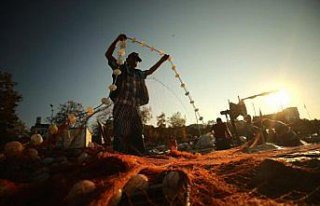 Batı Karadeniz'de balık bereketi