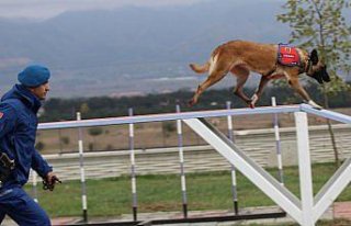 Bolu Belediyesi Hayvan Hastanesi açıldı