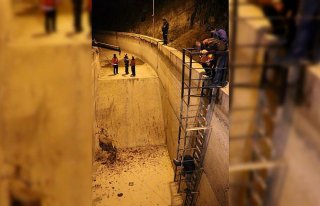 Bolu'da geyik kurtarma operasyonu