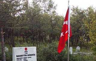 Çorum'da şehit kabirleri onarılıyor